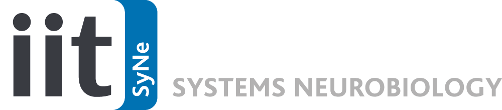 IIT